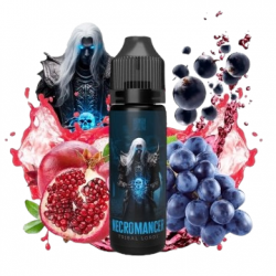 Tribal Lords by Tribal Force Necromancer (Grenade/Raisin/Cassis) 0mg 50ml - Tribal Lords by Tribal Force