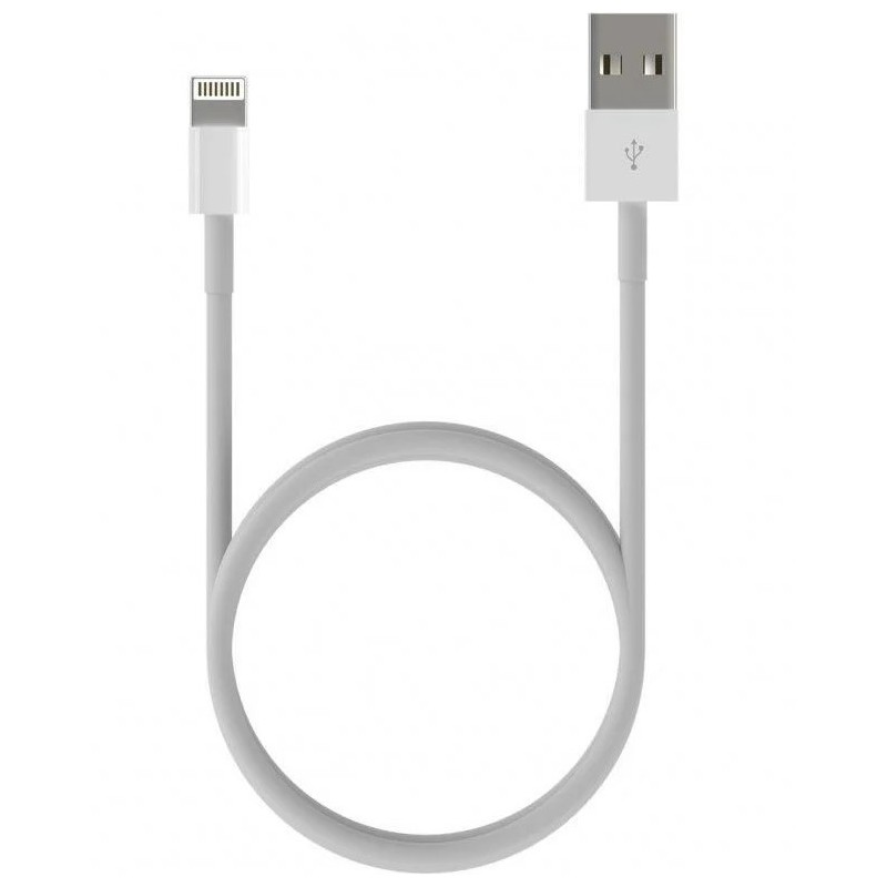 Apple SPECIAL LAPTOP / POWERBANK : CABLE USB-A VERS LIGHTNING 0.5 METRE BLANC
