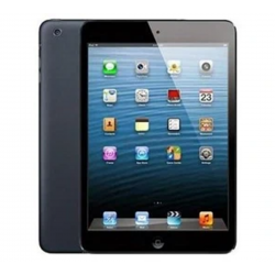 iPad Mini 16 Go Wi-Fi Noir - Grade AB