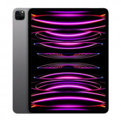 iPad Pro 12.9" (6th génération) 256 Go 5G - Apple M2 - Gris - Neuf