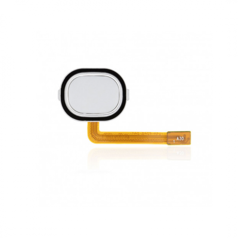 Samsung Nappe Lecteur d'Empreintes Samsung Galaxy A40 (A405F) Blanc Samsung Nappe Lecteur d'Empreintes Samsung Galaxy A40 (A405F) Blanc