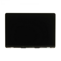 Apple Ecran LCD Complet MacBook A2941 Argent avec Programme (Original Démonté) Grade A