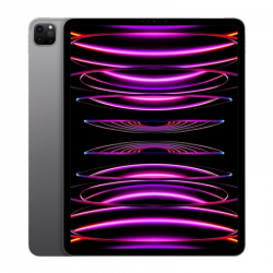 Apple iPad Pro 12.9" (6th génération) 512 Go 5G - Apple M2 - Gris - Neuf