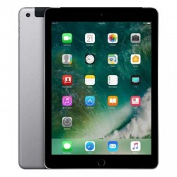Apple iPad 9.7 (6e Génération) 32 Go Wi-Fi + Cellular Gris - Grade B