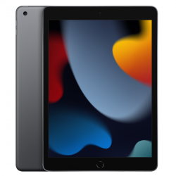 Apple iPad 10.2" 2021 (9e Génération) 64 Go Wi-Fi Gris - Grade AB