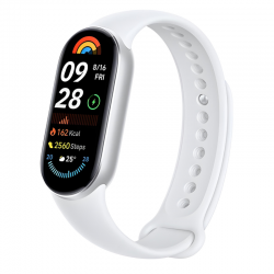 Xiaomi Montre Connectée Mi Smart Band 9 - Graphite Argent - EU