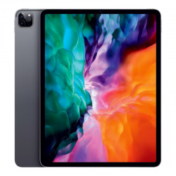 Apple iPad Pro 12.9" (4e Génération) 256 Go Cellulaire - Gris Sidéral - Grade B