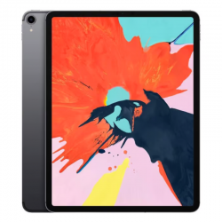 Apple iPad Pro 12.9" (3e Génération) 256 Go Cellulaire - Gris Sidéral - Grade AB