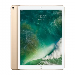 Apple iPad Pro 12.9" (2e Génération) 64 Go Wi-Fi Or - Grade B