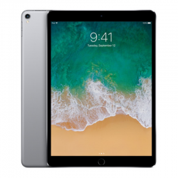 Apple iPad Pro 12.9" (2e Génération) 64 Go Wi-Fi Gris Sidéral - Grade AB