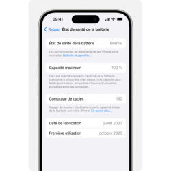 Apple Batterie iPhone SE 2022 (OEM) Installation Directe - Aucun Pop-up / État 100%