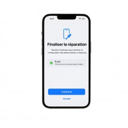Apple IPHONE 16 Pro Max (2024) LCD + TACTILE Origine Service Pack NEUF A-192 (Avec IC) Aucune Pop-up