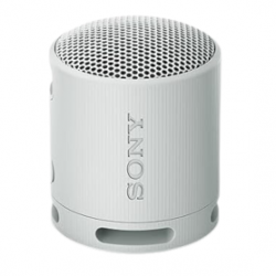 Enceinte Bluetooth Sony SRS-XB100 - Gris