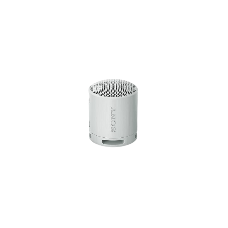 Enceinte Bluetooth Sony SRS-XB100 - Gris