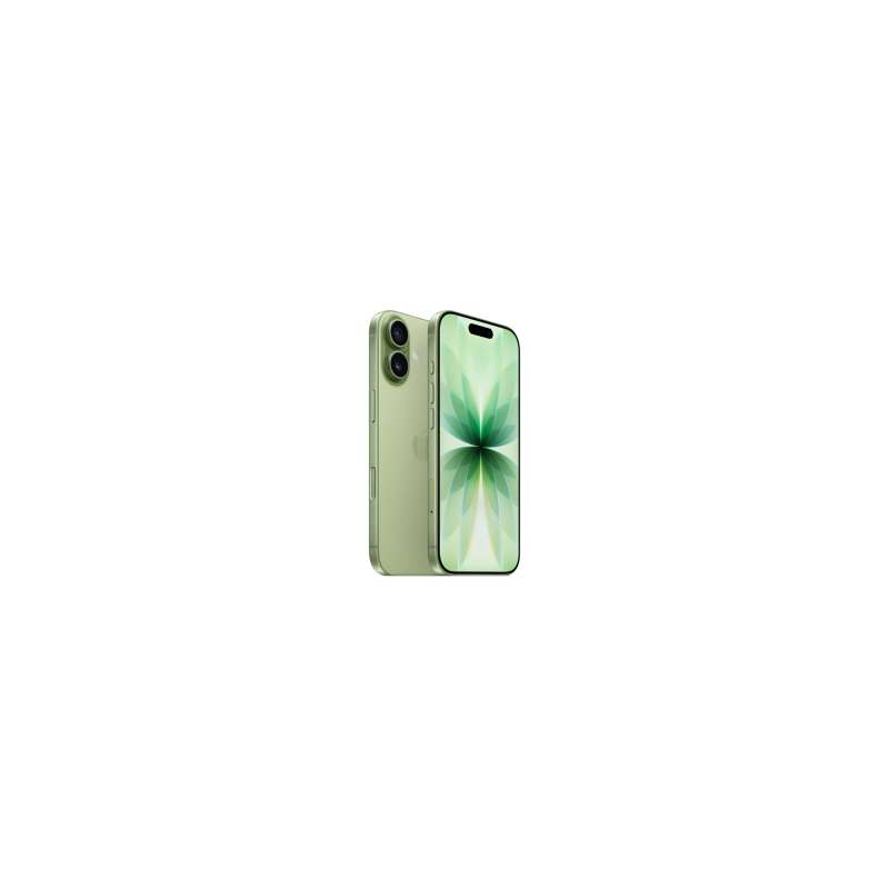 iPhone 17 256 Go Sauge - Comme Neuf (Batterie 100%)